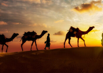 Jueves 26 de junio Año Nuevo 1447 e. h.